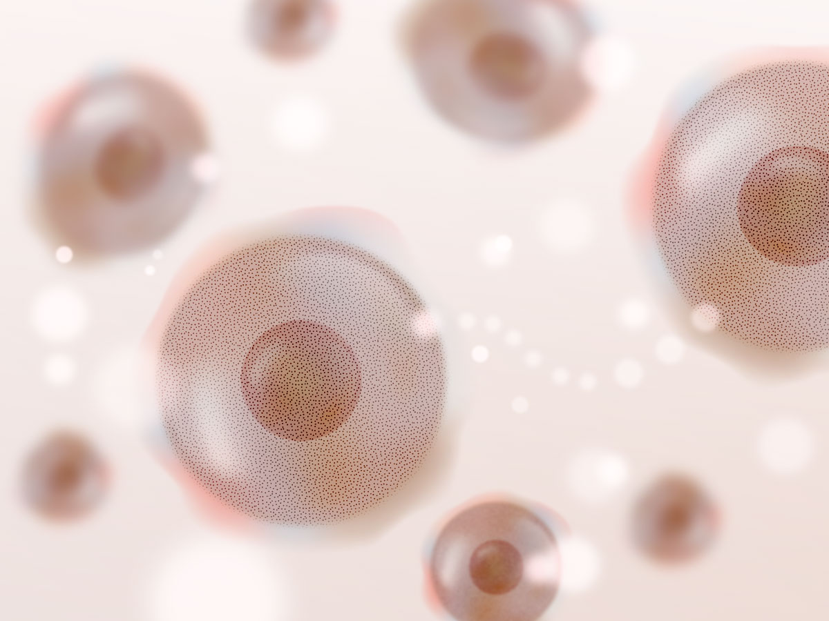 feat0<br />
<b>Warning</b>:  Undefined variable $i in <b>/home/xs171376/reunet.jp/public_html/trial3/wp/wp-content/themes/reutrial/parts/loop_features.php</b> on line <b>20</b><br />
<br />
<b>Warning</b>:  Undefined variable $count in <b>/home/xs171376/reunet.jp/public_html/trial3/wp/wp-content/themes/reutrial/parts/loop_features.php</b> on line <b>20</b><br />
2